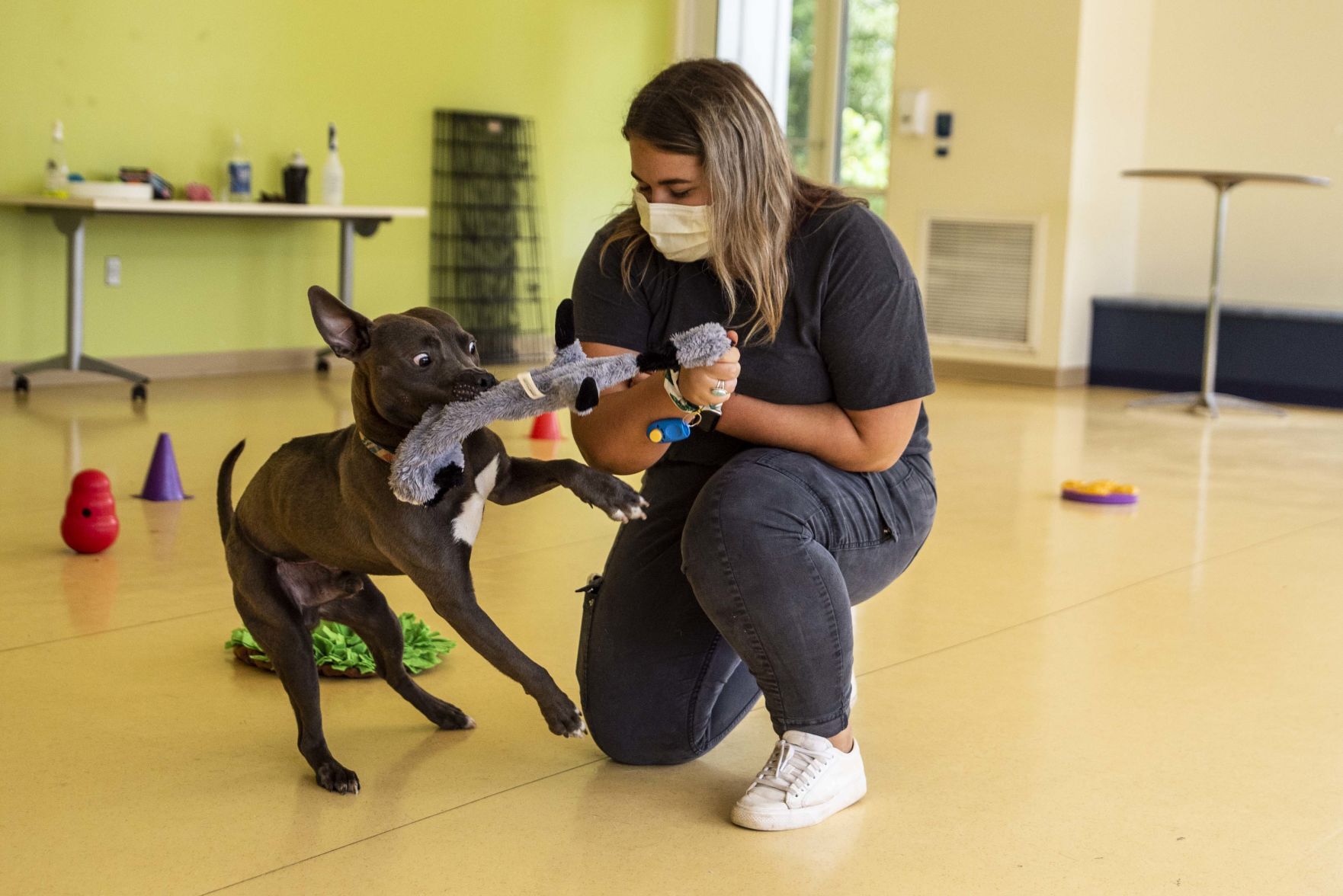 Lynchburg Humane Society